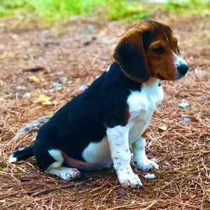 Meet your Posher, Jaida